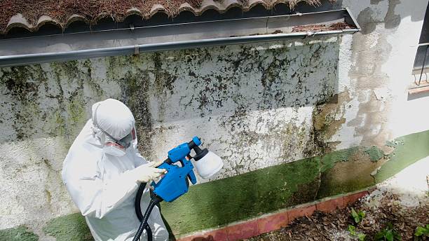 Top rated local Mold Inspection And Testing specialists in Kingston, TN